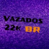 Vazados BR