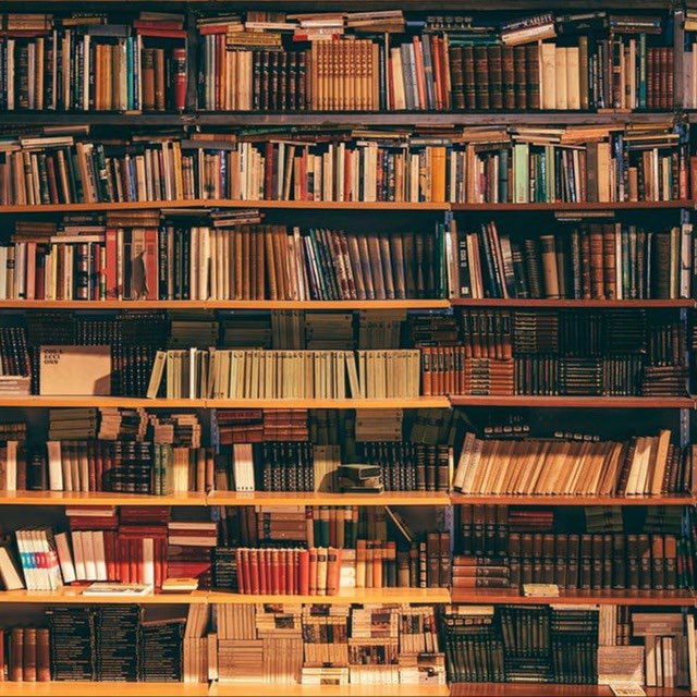 The Library (🔞)